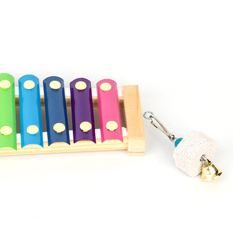 الطيور الدجاج إكسيليفون لعبة خ - مراجعة Musical Instrument Harmonium وسعره