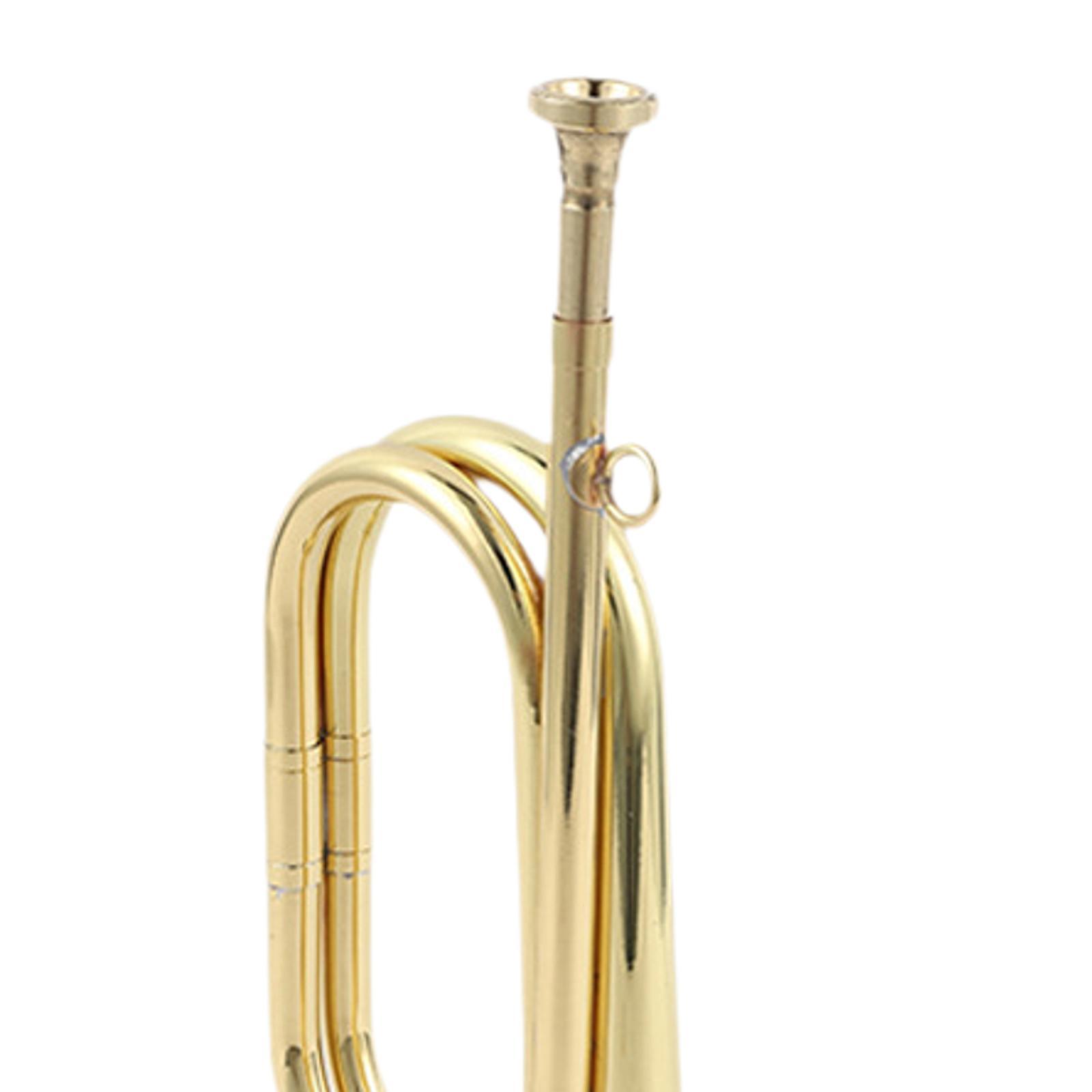 بوق الكشاف الموسيقي، آلة موسيق - مراجعة Musical Instrument Bugle وسعره